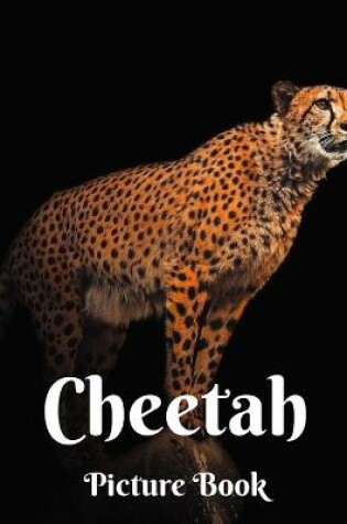 Cover of Cheetah Picture Book