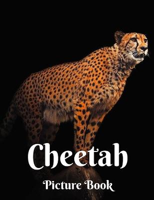 Book cover for Cheetah Picture Book