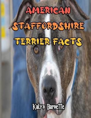 Book cover for American Staffordshire Terrier Facts