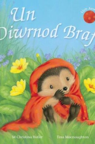 Cover of Cyfres Draenog Bach: Un Diwrnod Braf