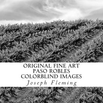 Book cover for Original Fine Art Paso Robles Colorblind Images