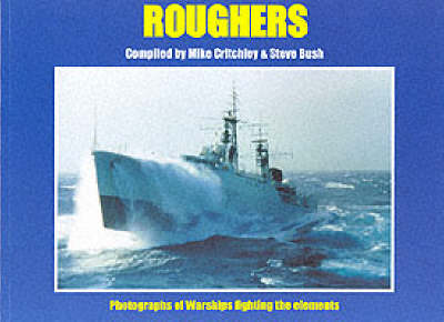 Book cover for Roughers