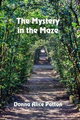 Book cover for The Mystery in the Maze