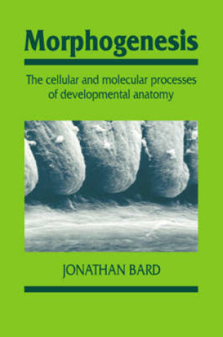 Cover of Morphogenesis