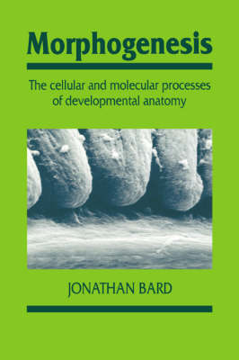 Book cover for Morphogenesis