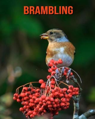 Book cover for Brambling