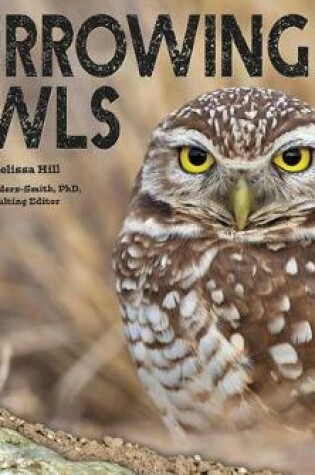 Cover of Burrowing Owls