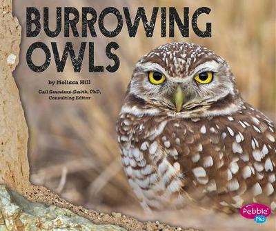 Book cover for Burrowing Owls
