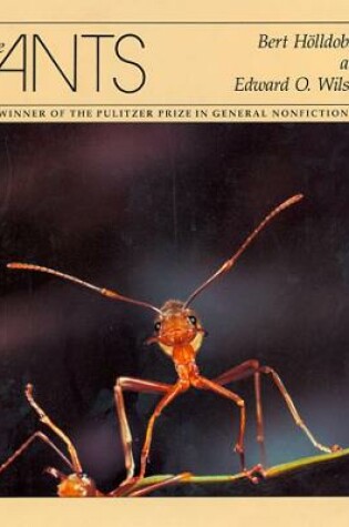 Cover of The Ants