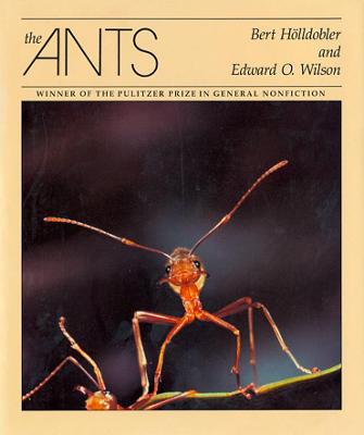 Book cover for The Ants