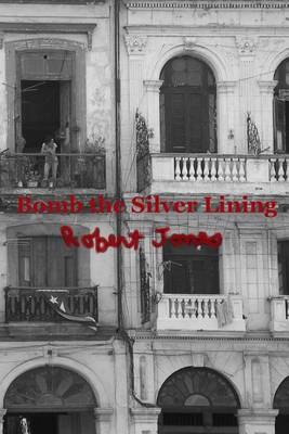 Book cover for Bomb the Silver Lining