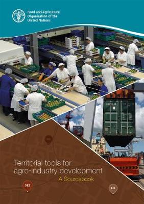 Book cover for Territorial tools for agro-industry development