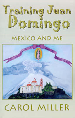 Book cover for Training Juan Domingo