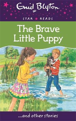 Book cover for The Brave Little Puppy