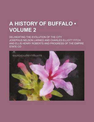 Book cover for A History of Buffalo (Volume 2); Delineating the Evolution of the City