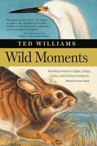 Cover of Wild Moments