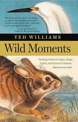 Book cover for Wild Moments