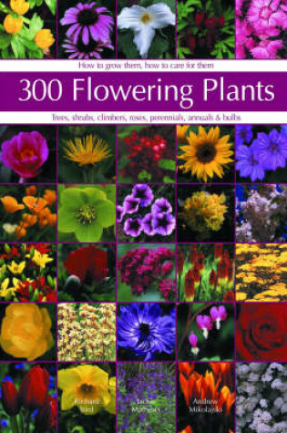 Cover of 300 Flowering Plants