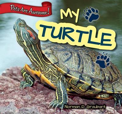 Cover of My Turtle