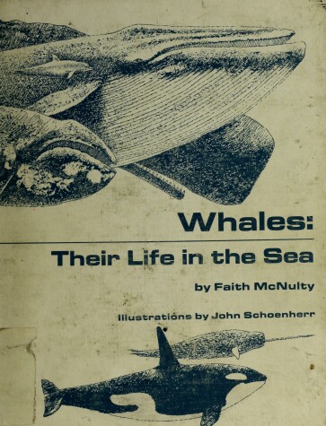 Book cover for Whales, Their Life in the Sea