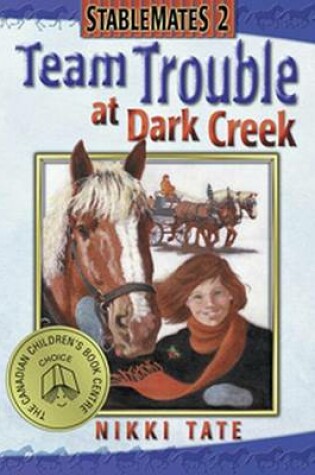 Cover of Team Trouble at Dark Creek (St