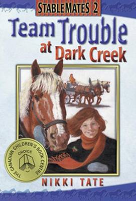 Book cover for Team Trouble at Dark Creek (St