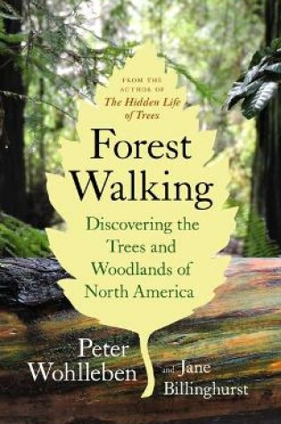 Cover of Forest Walking: Discovering the Trees and Woodlands of North America