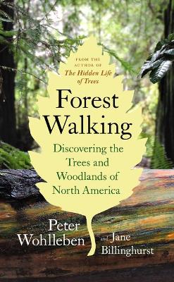 Book cover for Forest Walking: Discovering the Trees and Woodlands of North America