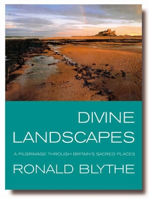 Book cover for Divine Landscapes