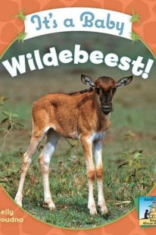 Cover of It's a Baby Wildebeest!