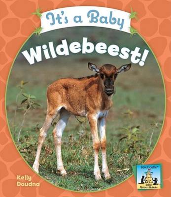 Cover of It's a Baby Wildebeest!