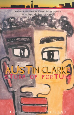 Book cover for Storm of Fortune