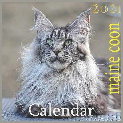 Book cover for maine coon 2021