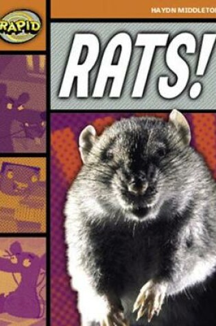 Cover of Rapid Stage 4 Set B Reader Pack: Rats (Series 1)