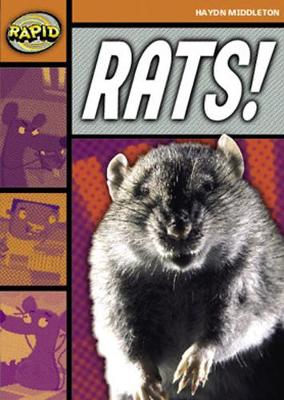 Cover of Rapid Stage 4 Set B Reader Pack: Rats (Series 1)