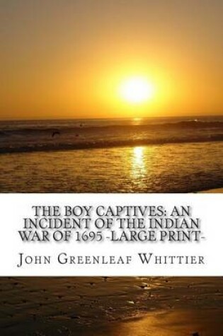 Cover of The Boy Captives