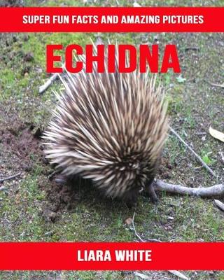 Book cover for Echidna