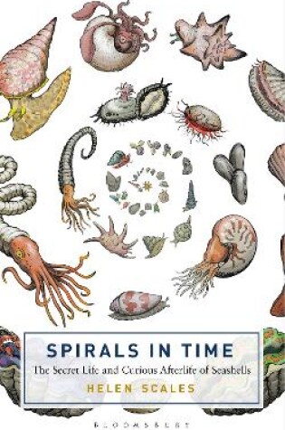 Cover of Spirals in Time