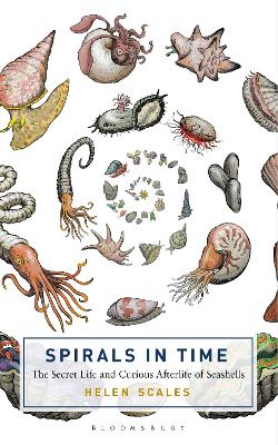 Book cover for Spirals in Time