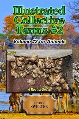 Cover of Illustrated Collective Terms #2