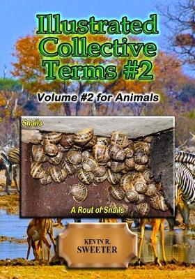 Book cover for Illustrated Collective Terms #2