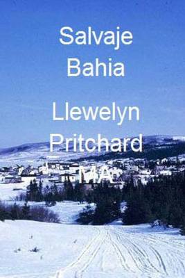 Book cover for Salvaje Bahia