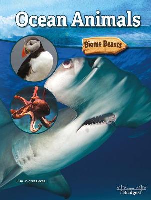 Book cover for Ocean Animals