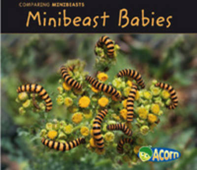 Book cover for Comparing Minibeasts Pack A of 6