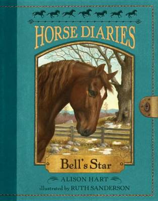 Book cover for Horse Diaries #2