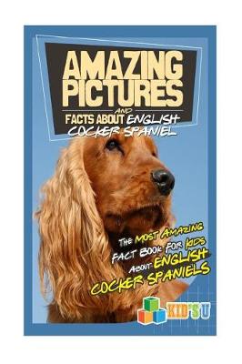 Book cover for Amazing Pictures and Facts about English Cocker Spaniels