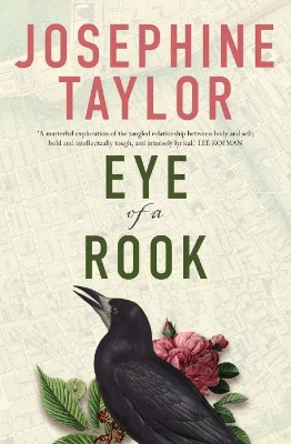 Book cover for Eye of a Rook
