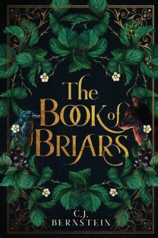 Cover of The Book of Briars