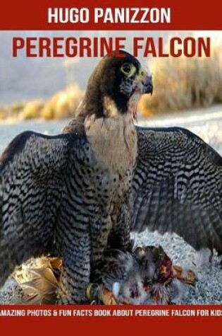 Cover of Peregrine Falcon