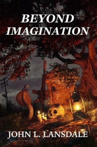 Cover of Beyond Imagination
